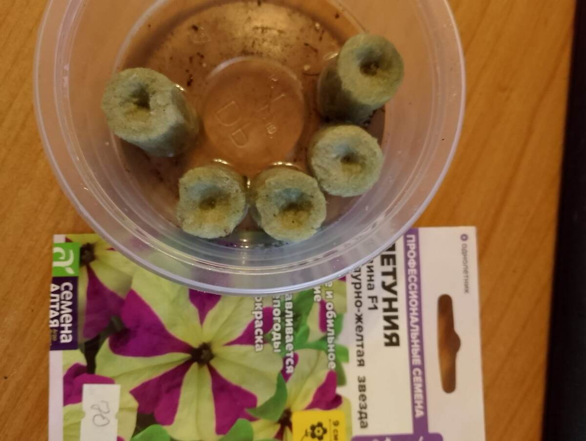 Петуния Лавина F1 Пурпурно-желтая звезда.