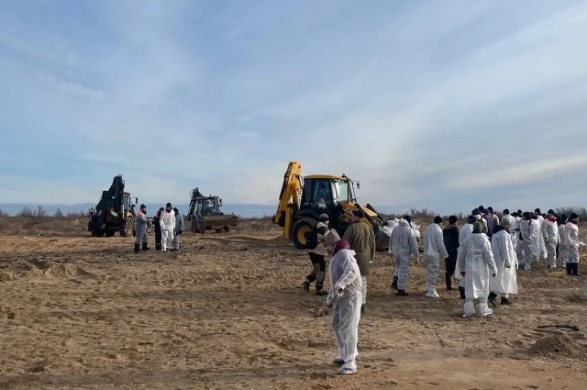    Храбрые орловские девушки поехали на Чёрное море убирать мазут