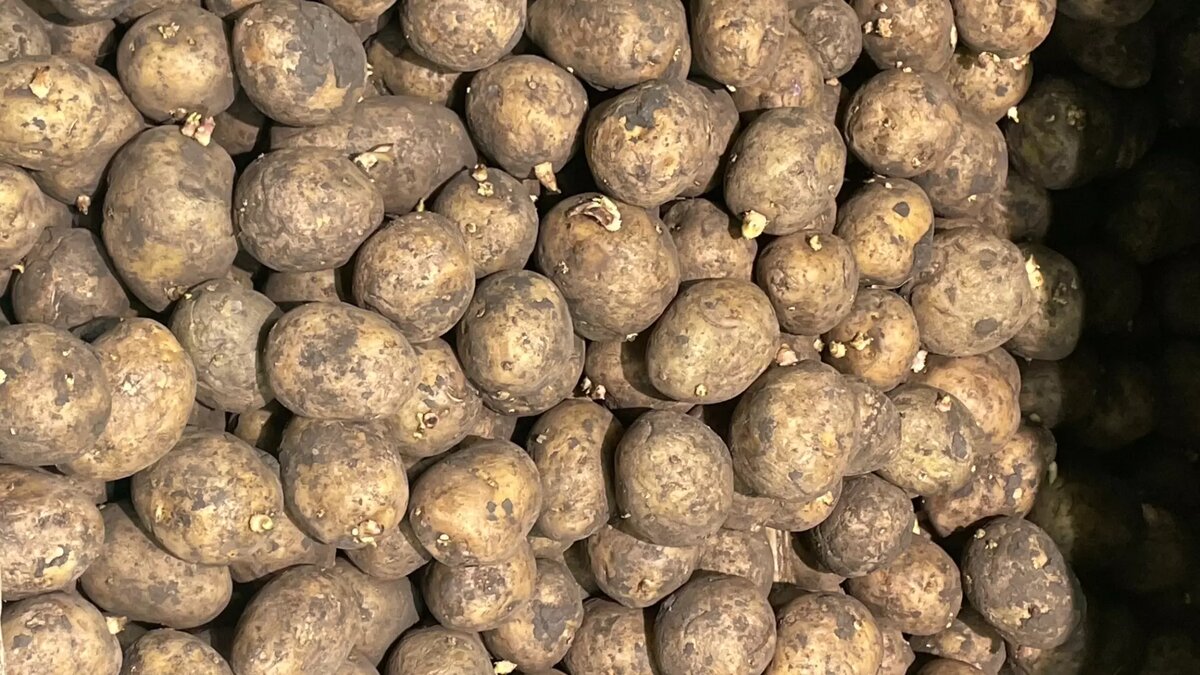     Источник: nashgorod.ru