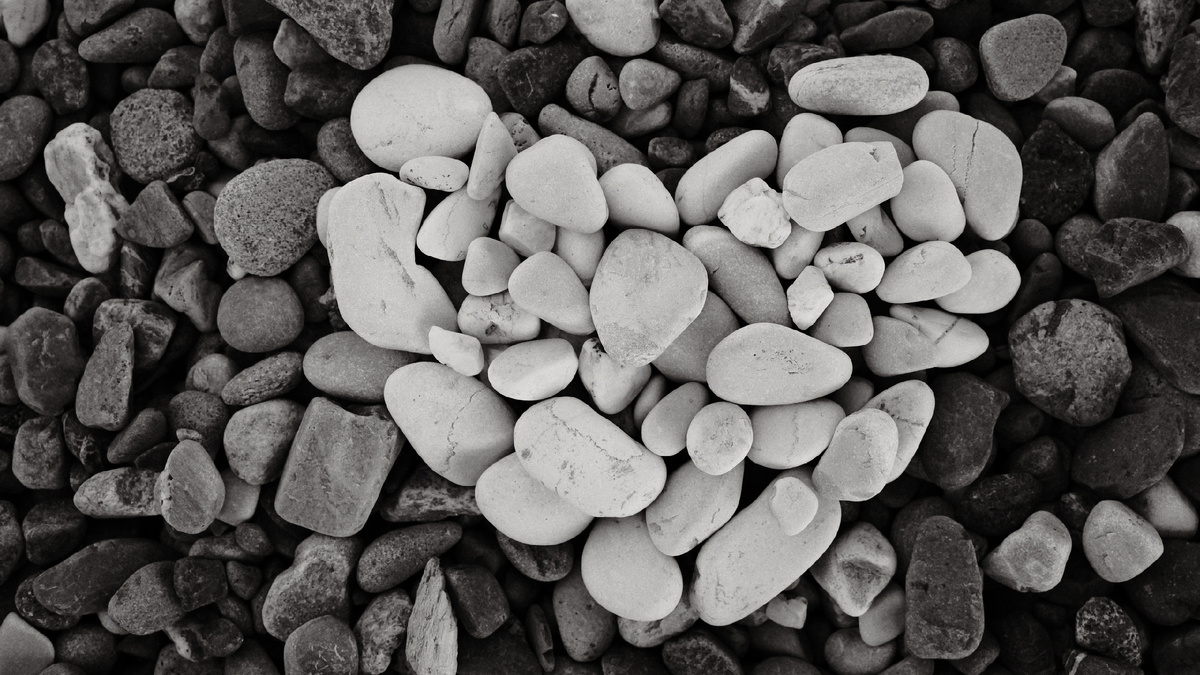 Фото Станислав Аникин