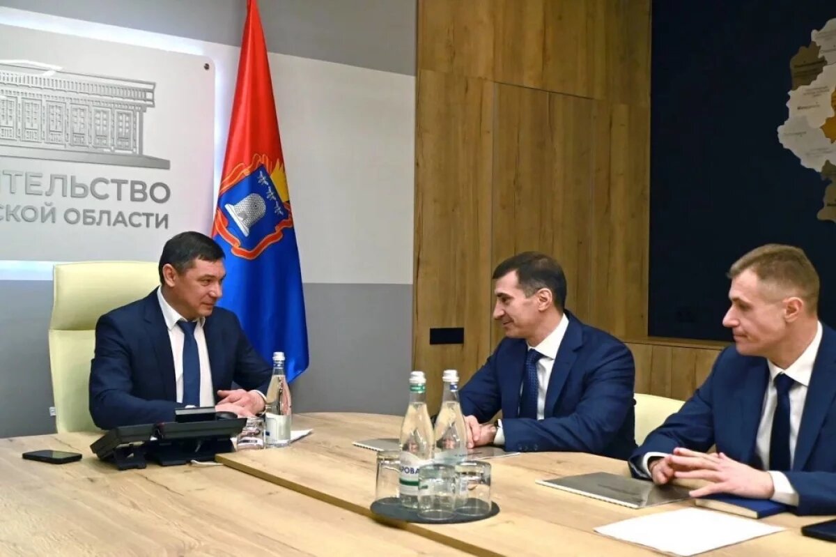    Евгений Первышов и Борис Эбзеев обсудили развитие электросетей Тамбовщины