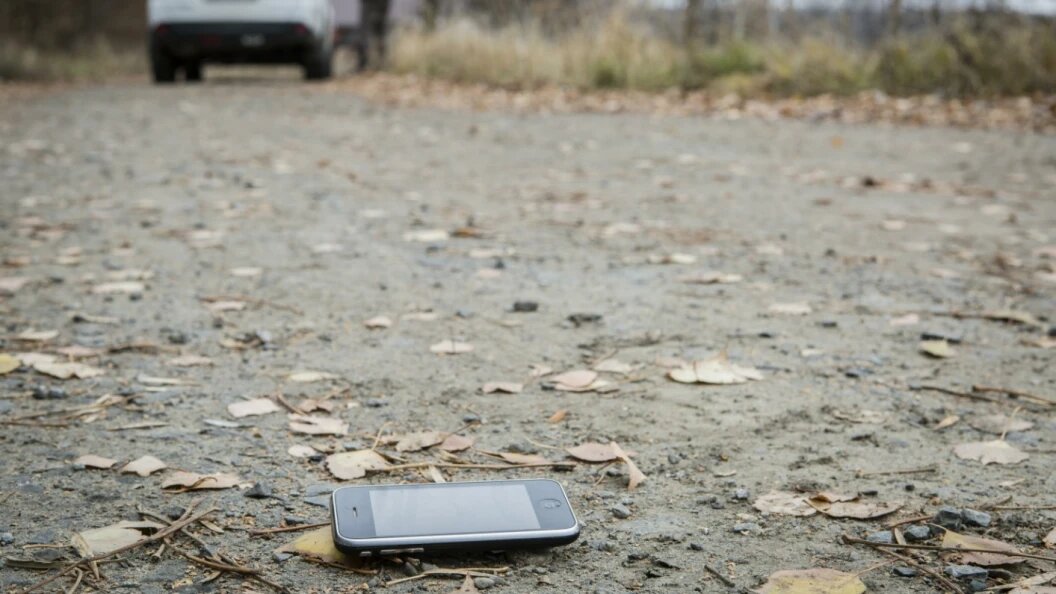    Nikolay Gyngazov/Russian Look/Globallookpress