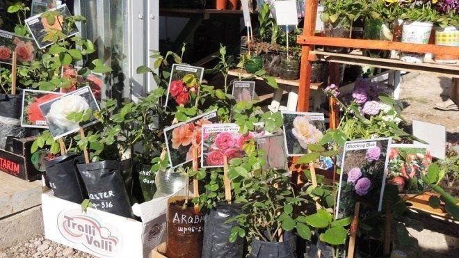 Фото с pinterest.com