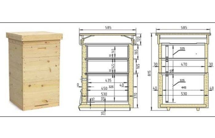Дадановский улей