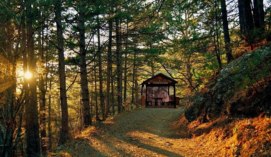 📸Фото: ФГБУ «Заповедный Крым»