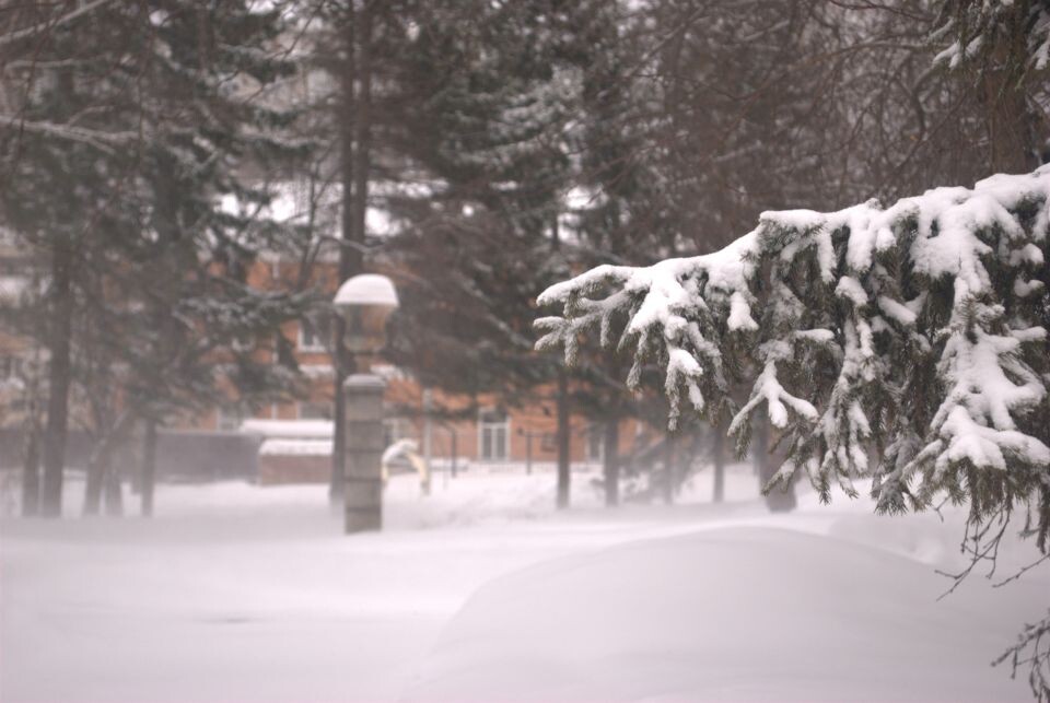    Зима. Непогода. Барнаул. Источник: Елизавета Жаринова/"Толк"