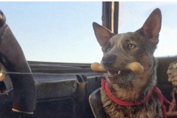 Кадр из фильма «Безумный Макс 2: Воин дороги»