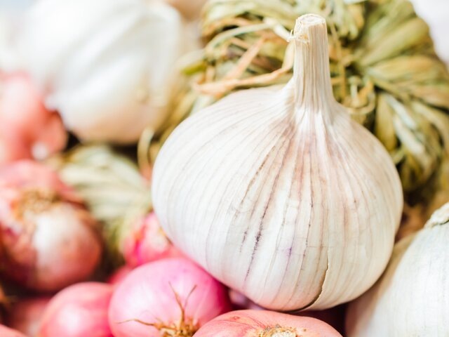    Фото: 123RF/siraphol