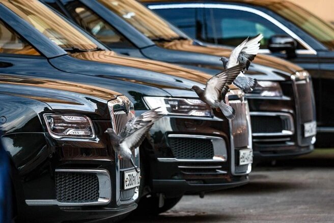 Источник: Владимир Смирнов / ТАСС