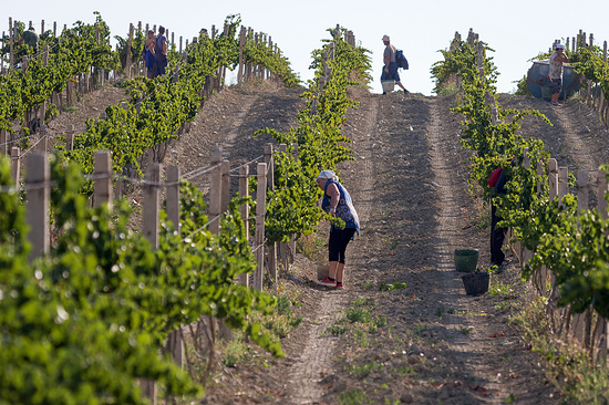 Фото: Сергей Мальгавко/ТАСС