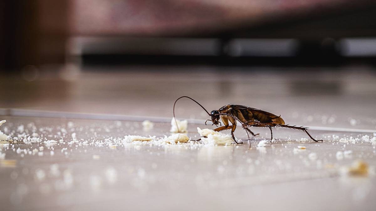    Фото: shutterstock