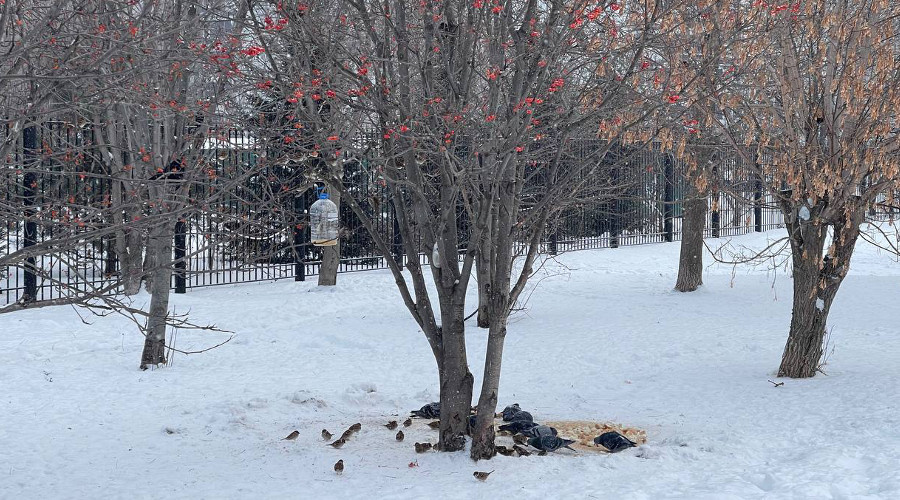    Фото: Gobalakovo