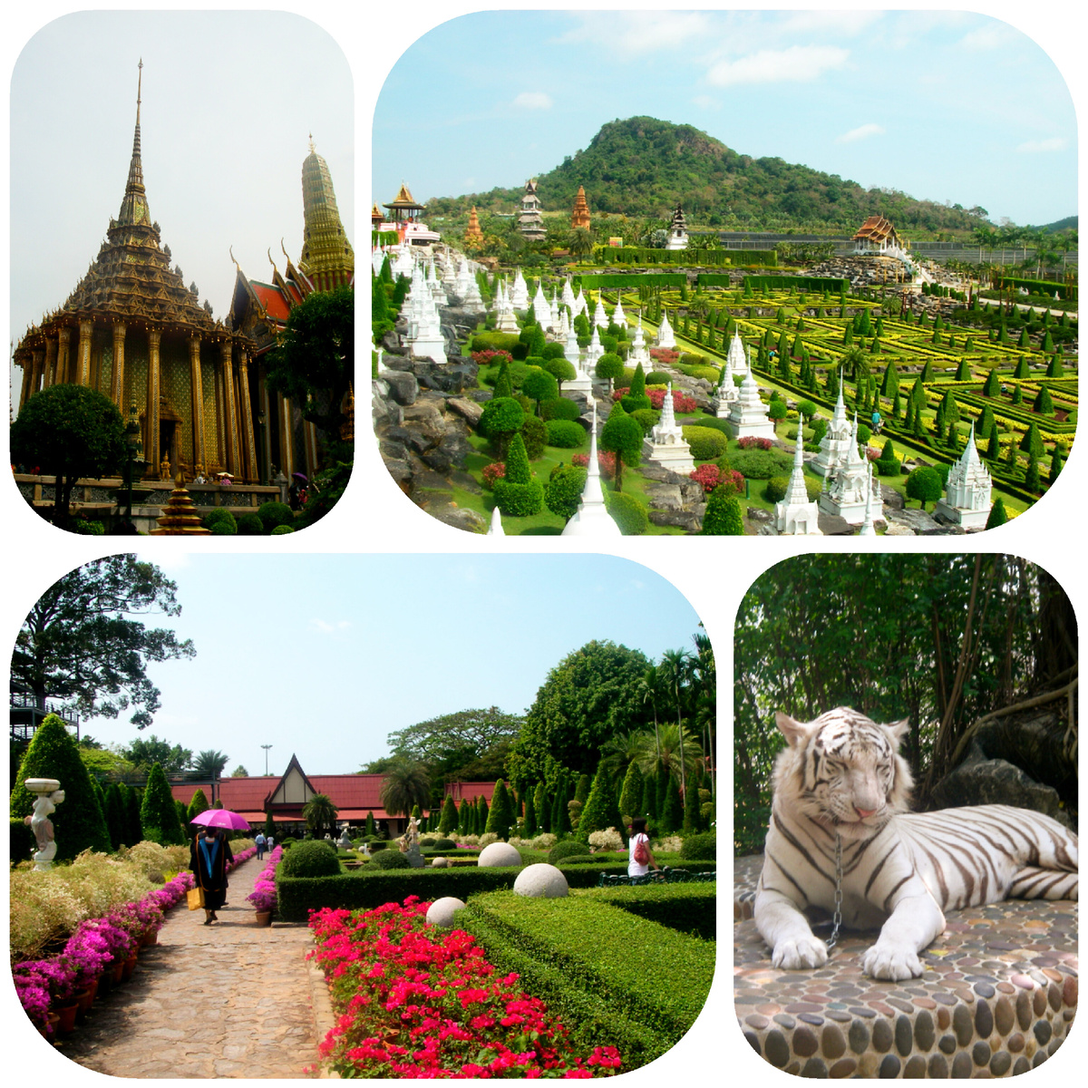 Из личного архива автора