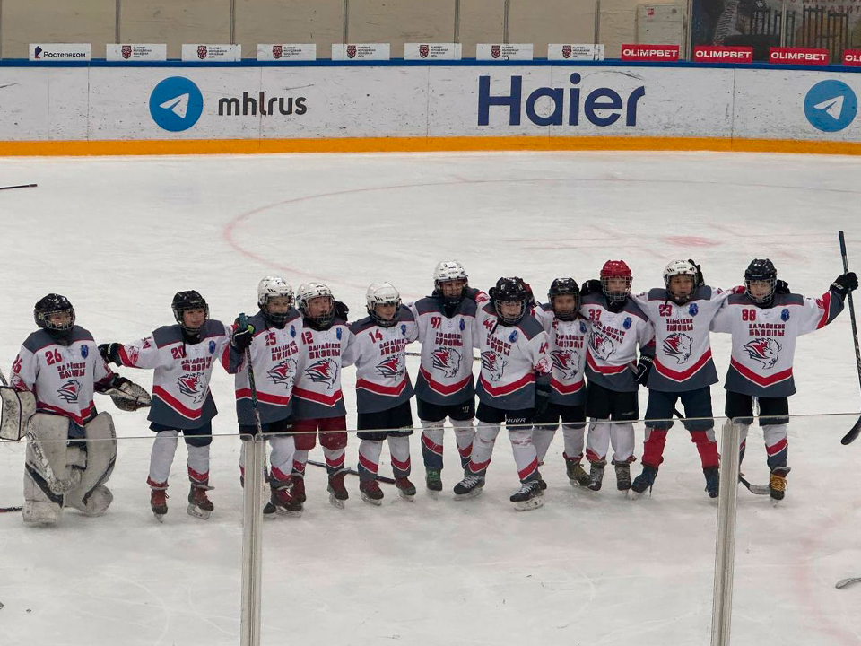     Фото: vk.com/ХК «Зарайские бизоны»