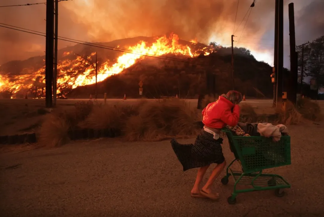 фото взято с открытых источниках