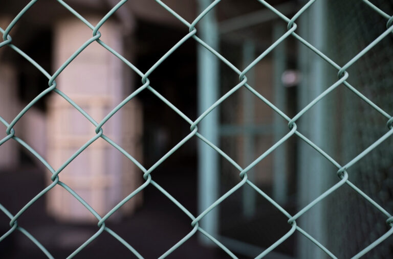    Фото: freepik.com/freepik Ксения Зиннер