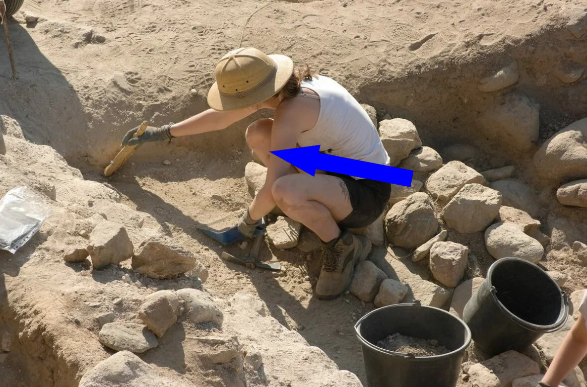    В ледяном плену времени: откровение из прошлого