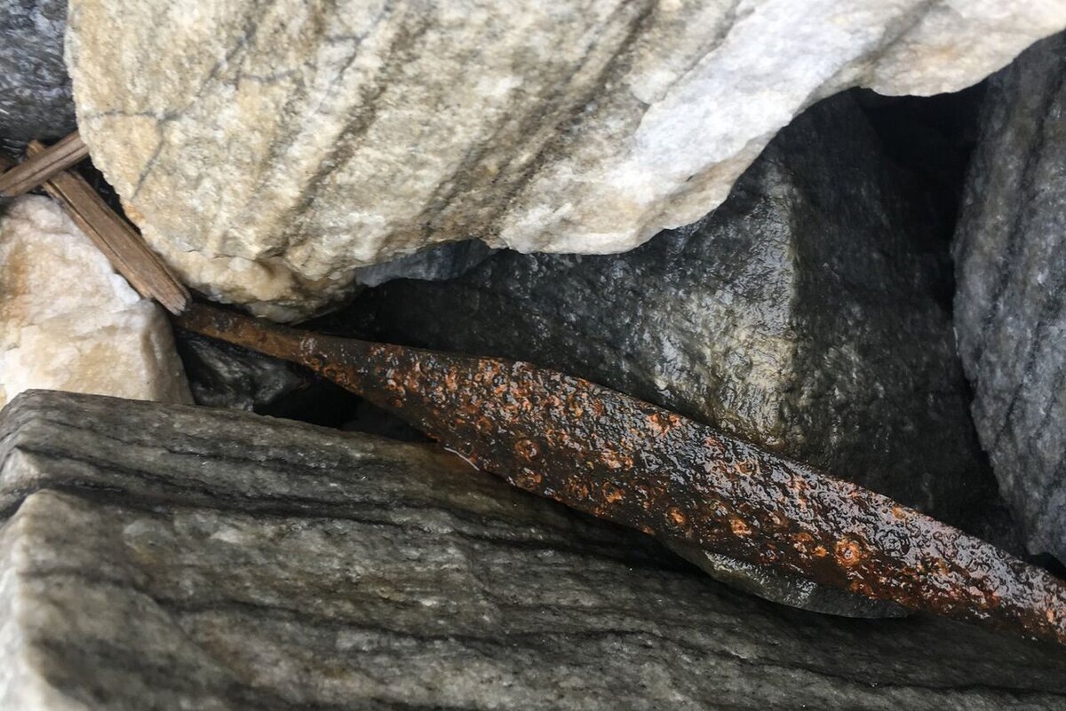    В ледяном плену времени: откровение из прошлого