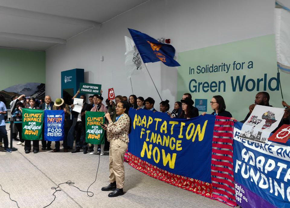 Фото с COP29 в Баку, 2024 год