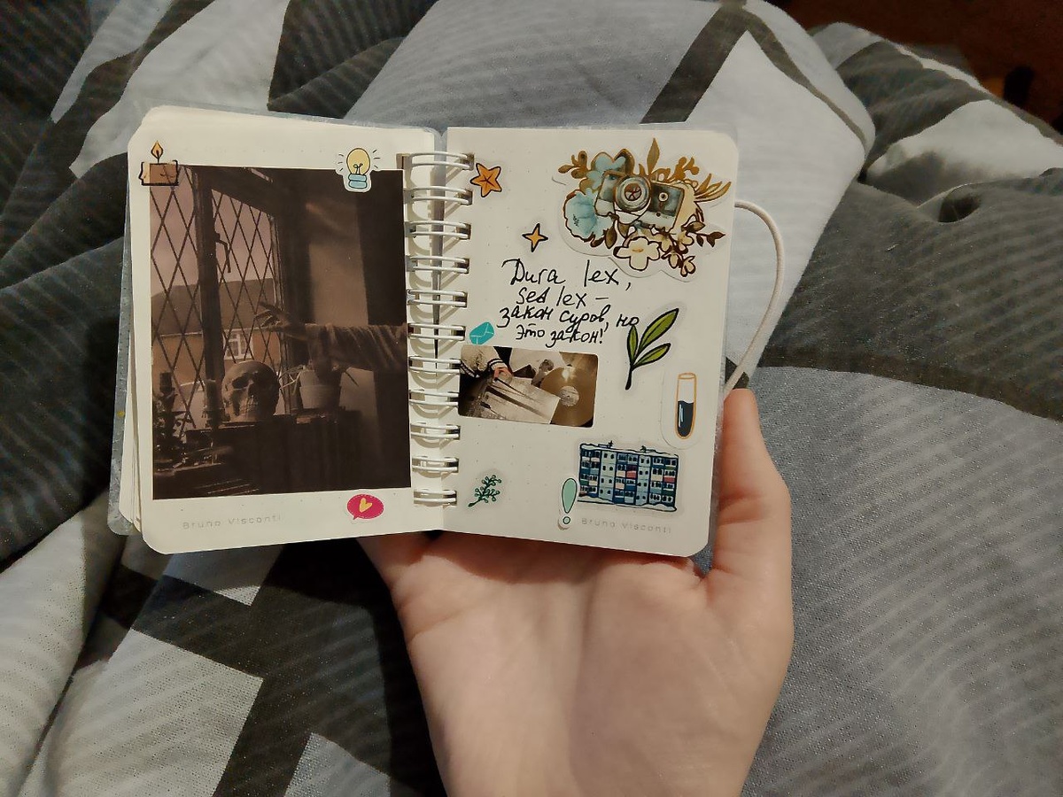 ЗСуров закон, но это закон - аффоризмы входят в программу первогот курса латыни на филфаке, учить аффоризм было приятнее всего, а часть я помню до сих пор, а вот переводы с русского на латинский - аааа. во все сидит бес... 