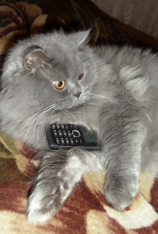 Фото из интернета