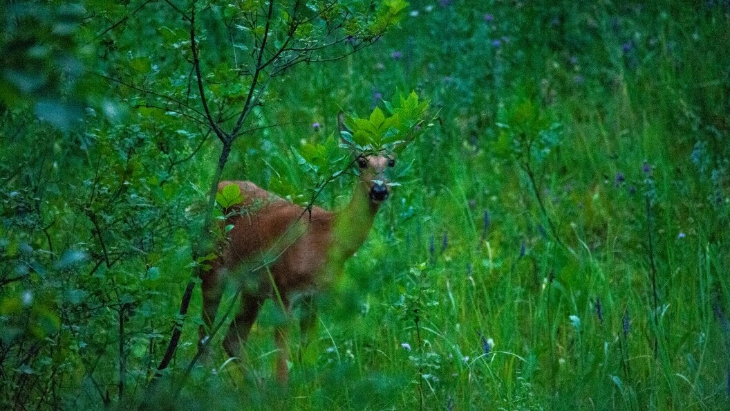    Фото: Svetlana Vozmilova/Global Look Press/Globallookpress