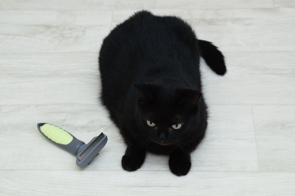 Что такое фурминатор для кошек 