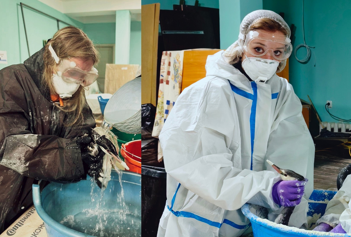    Екатерина Фоминых спасает птиц от мазута. Фото: соцсети героини