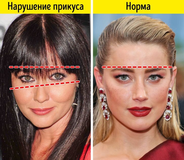 Иллюстрация взята из открытого доступа в сети интернет