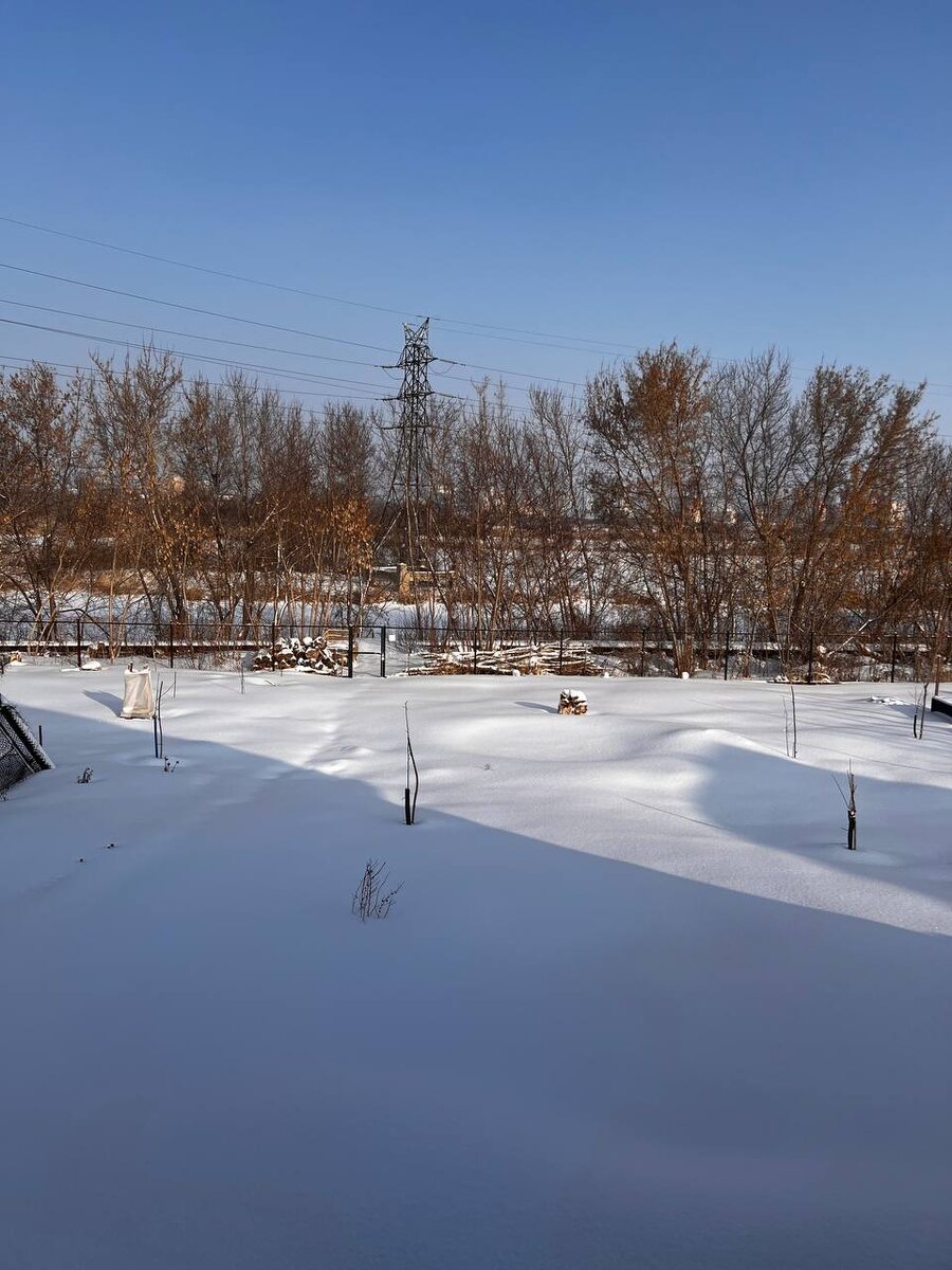 Вид из окна спальни. С таким и зимой просыпаться приятно.
