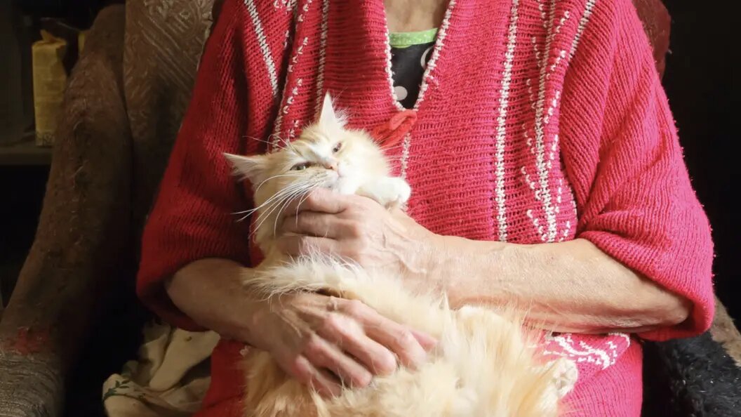    Zamir Usmanov/Globallookpress