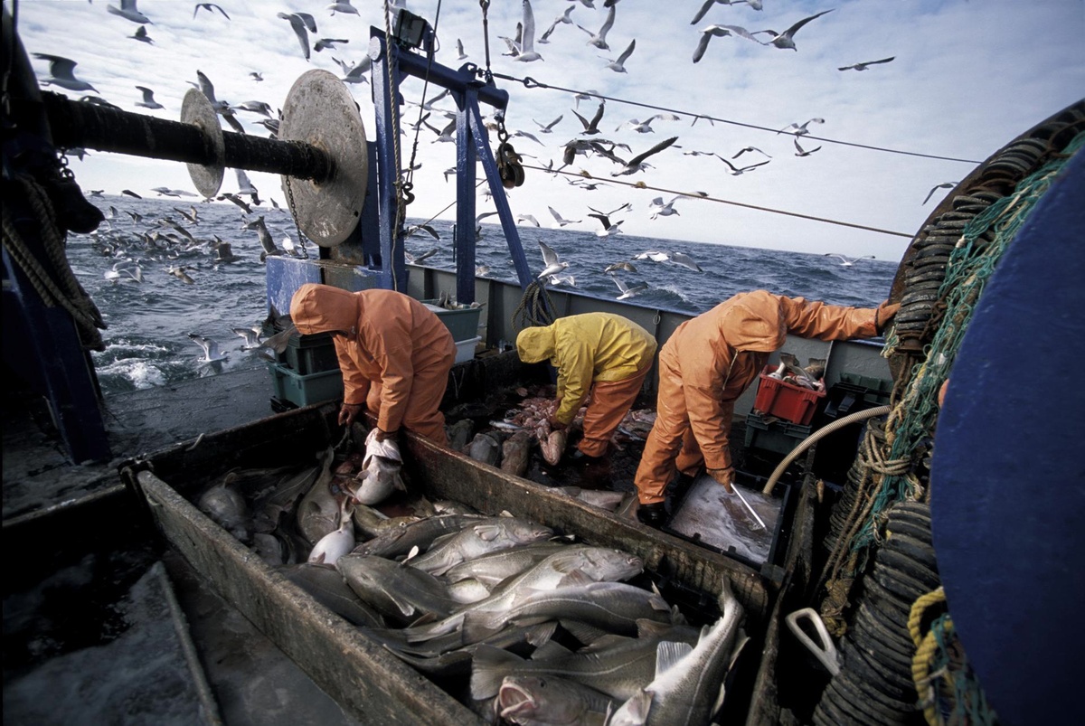Фото: vk.com / Министерство рыбного хозяйства Камчатского края