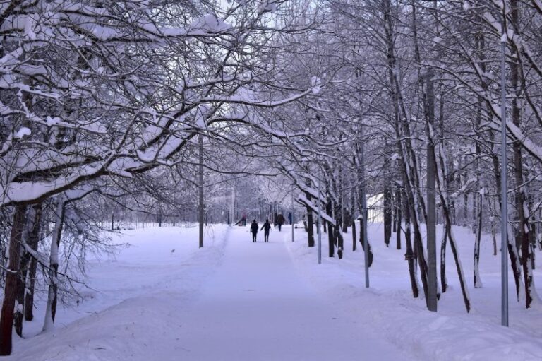    Фото: unsplash.com/Polina Green Дмитрий Андреев