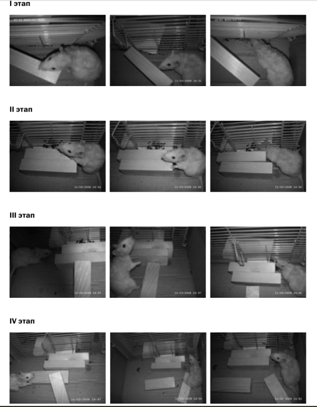 фото из первоисточника