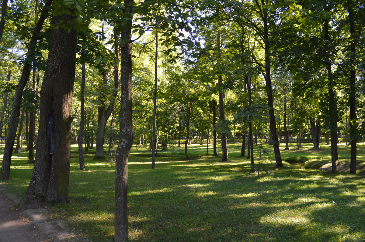 Природа лечит своей красотой и величием