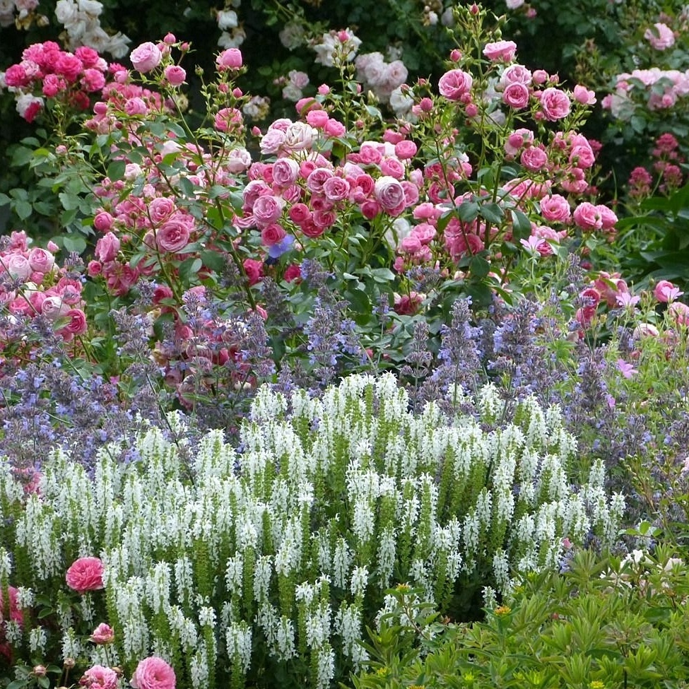 Листайте галерею по стрелке вправо 