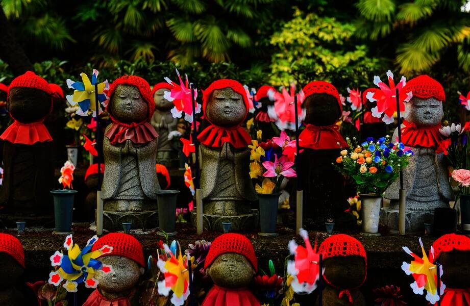    Фото: Blanscape/Shutterstock.com