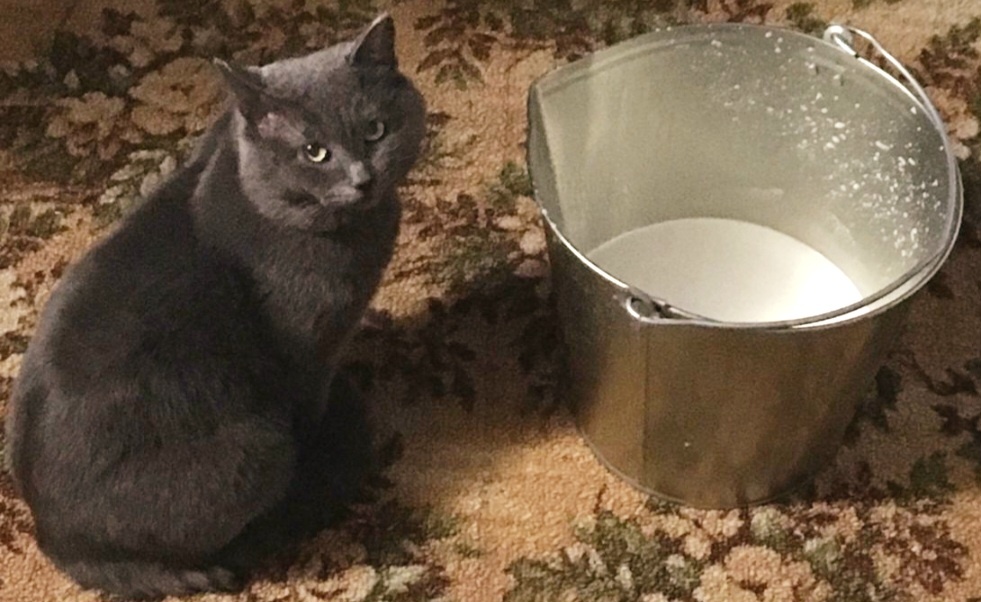 Я только охраняю. Не переживай!