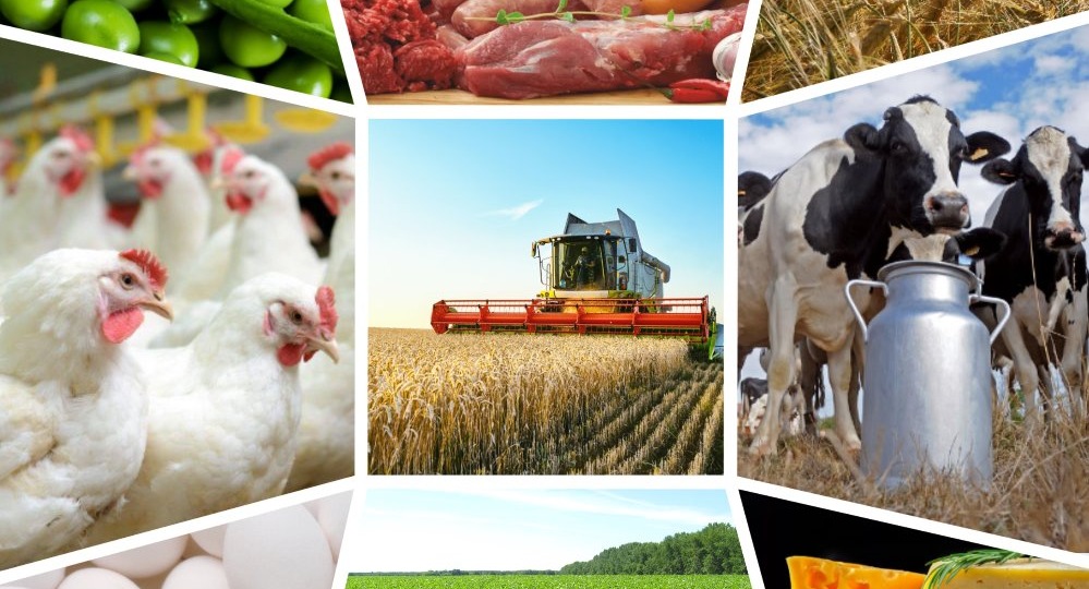 Кальция формиат: универсальный продукт для промышленности и строительства.