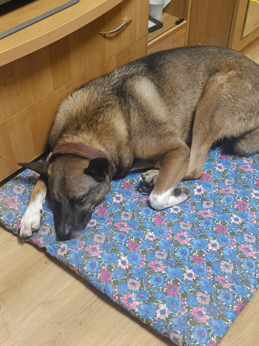 Матрасик должен лежать только в этом месте!!!