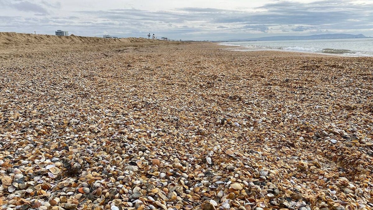    Фото: телеканал «Краснодар»