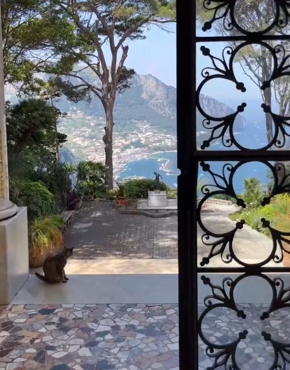 Источник: https://pin.it/2IjcqzxI5