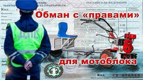 фото источник интернет