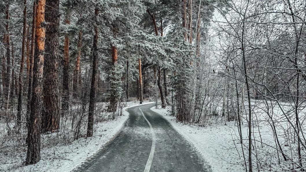 Фото: Юлия Божок, ИА "Тюменская линия"