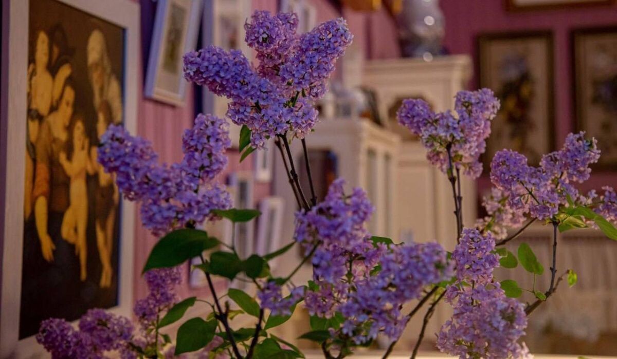     Сирень. Источник: ГМЗ «Царское Село» Автор фото: Екатерина Новак