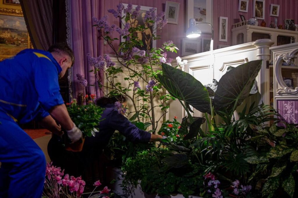 Сотрудники ухаживают за сиренью. Источник: ГМЗ «Царское Село» Автор фото: Екатерина Новак📷
