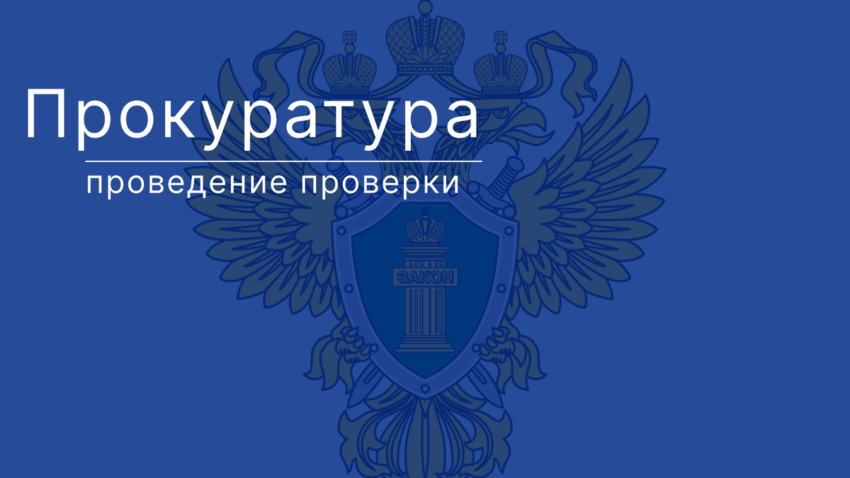 Основания, порядок и результаты проверки, проводимой органом прокуратуры