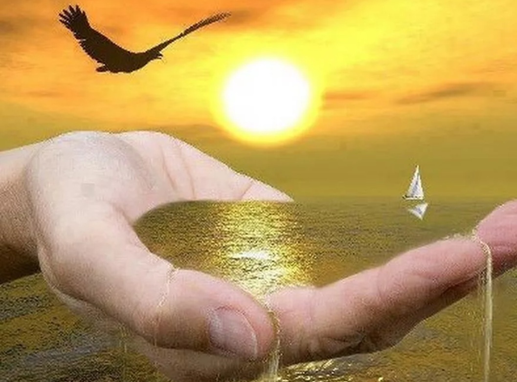 Фото взято из общего доступа интернет ресурса 