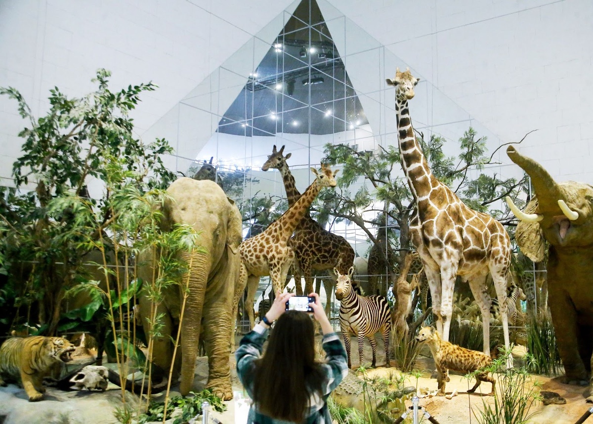 © АГН «Москва» / Сергей Ведяшкин