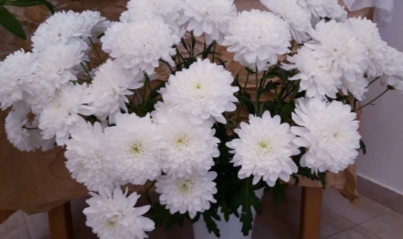 Фотография автора 